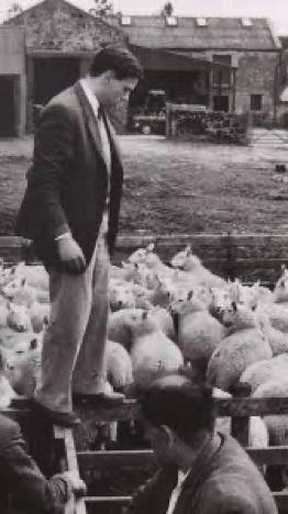 "Gentleman farmer..." "Gentleman farmer..."